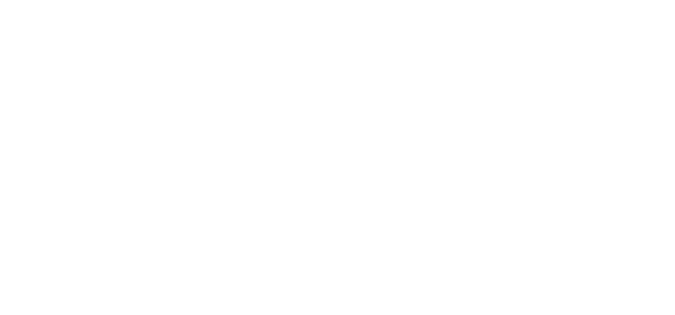 Wilson Vieira
